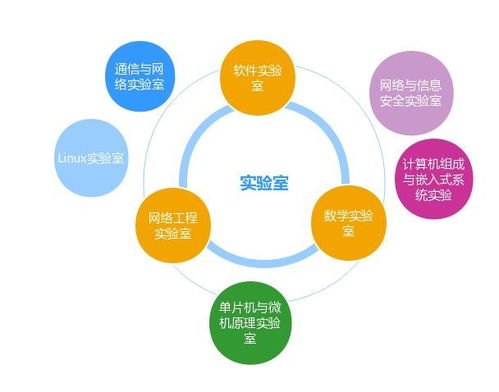 網(wǎng)絡如山勤思為徑，信息似海安全作舟——浙師教授談網(wǎng)絡工程與網(wǎng)絡安全專業(yè)